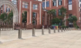 学校绿巨人电影免费观看网站是否有必要